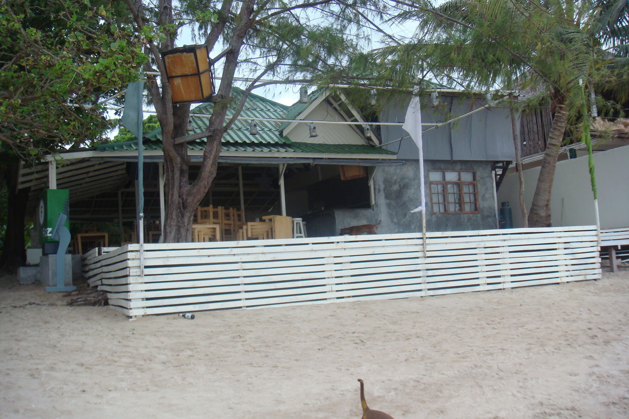 Silver Sands Beach Resort Ko Tao Exteriér fotografie